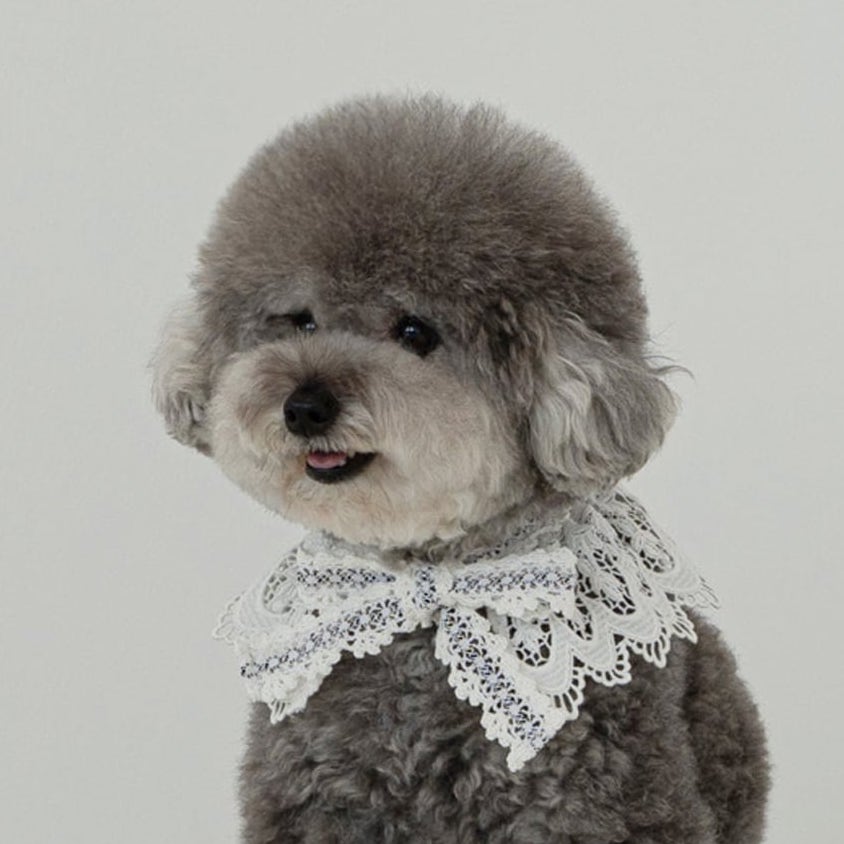 付け襟 – My Store