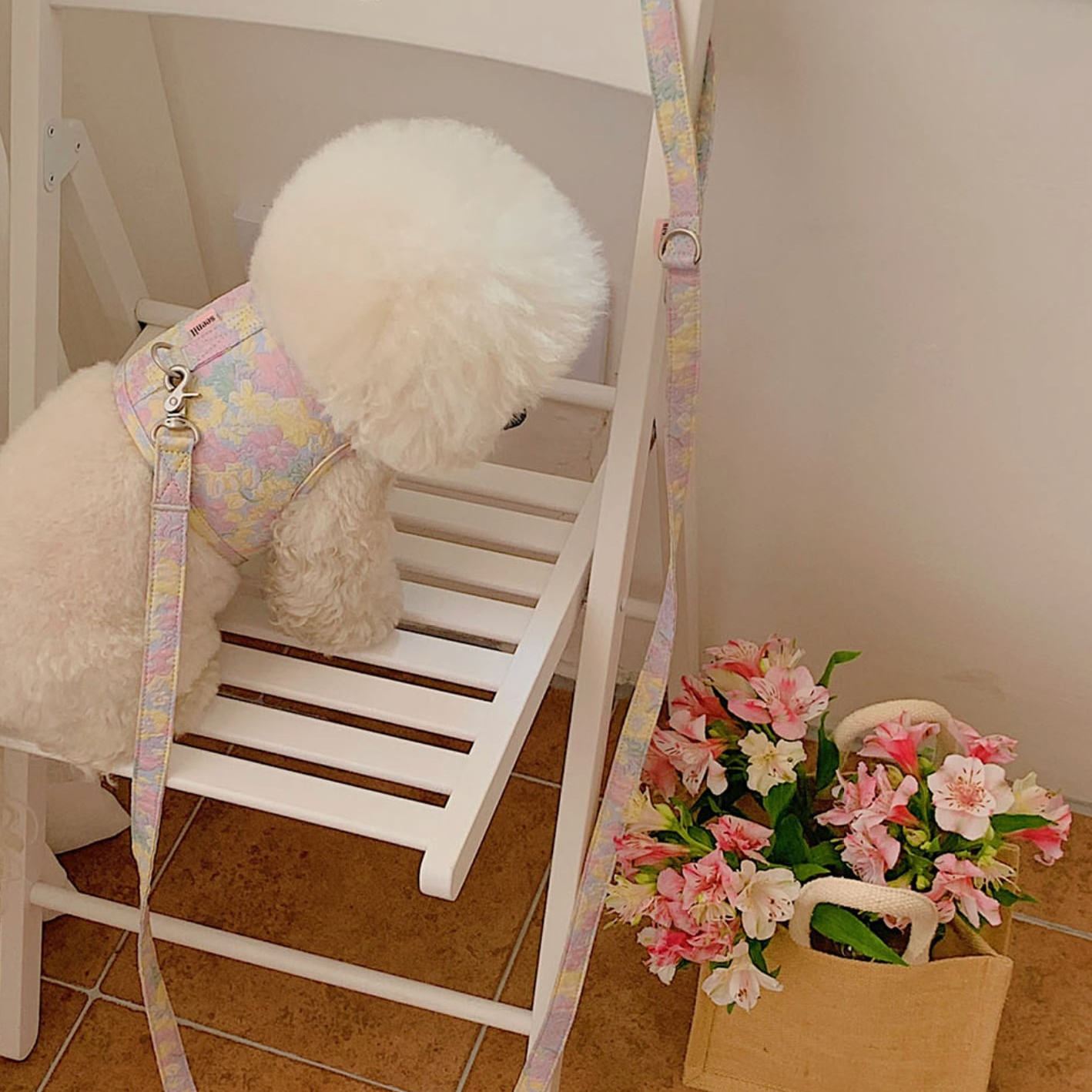 フラワーリード | Flower Leash