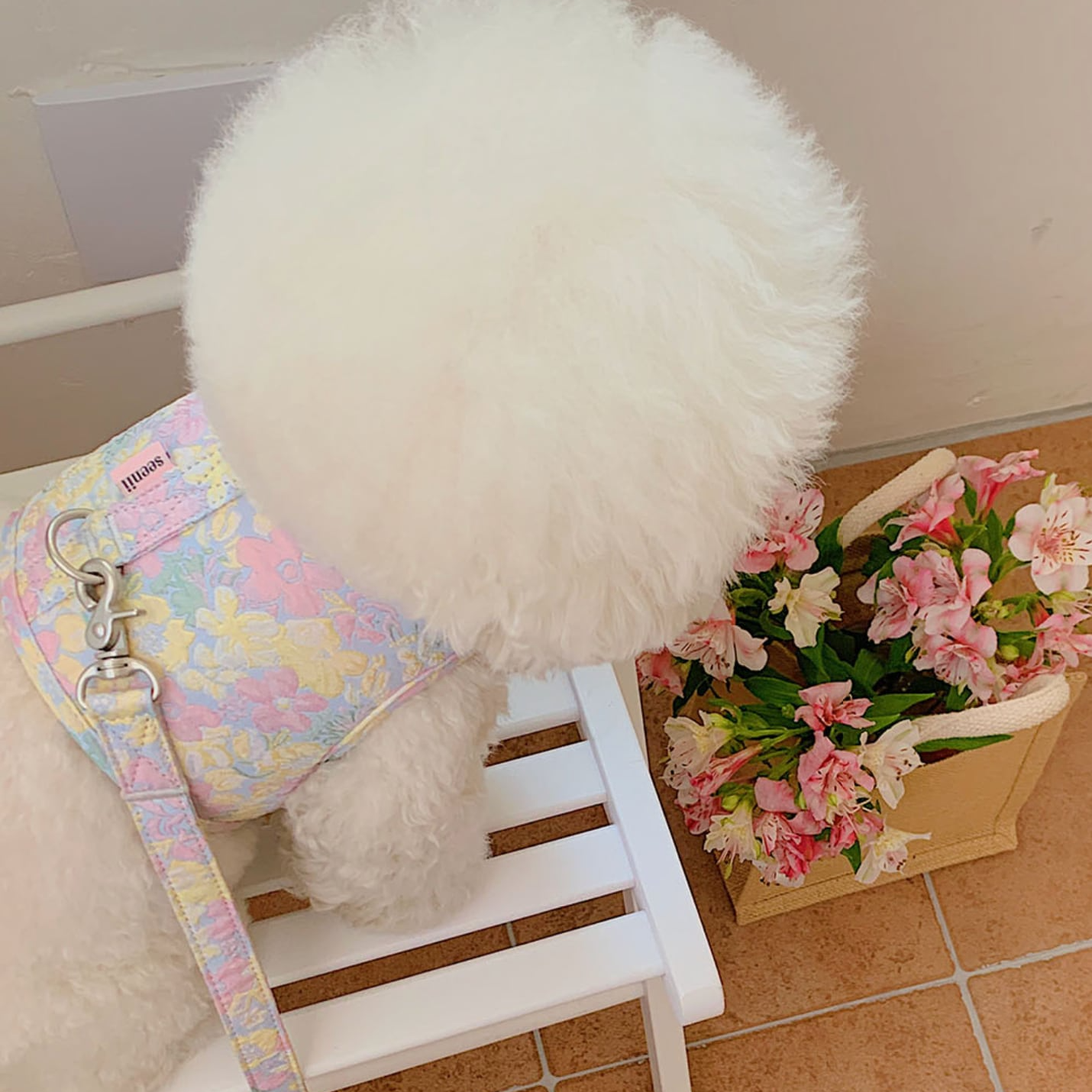 フラワーリード | Flower Leash
