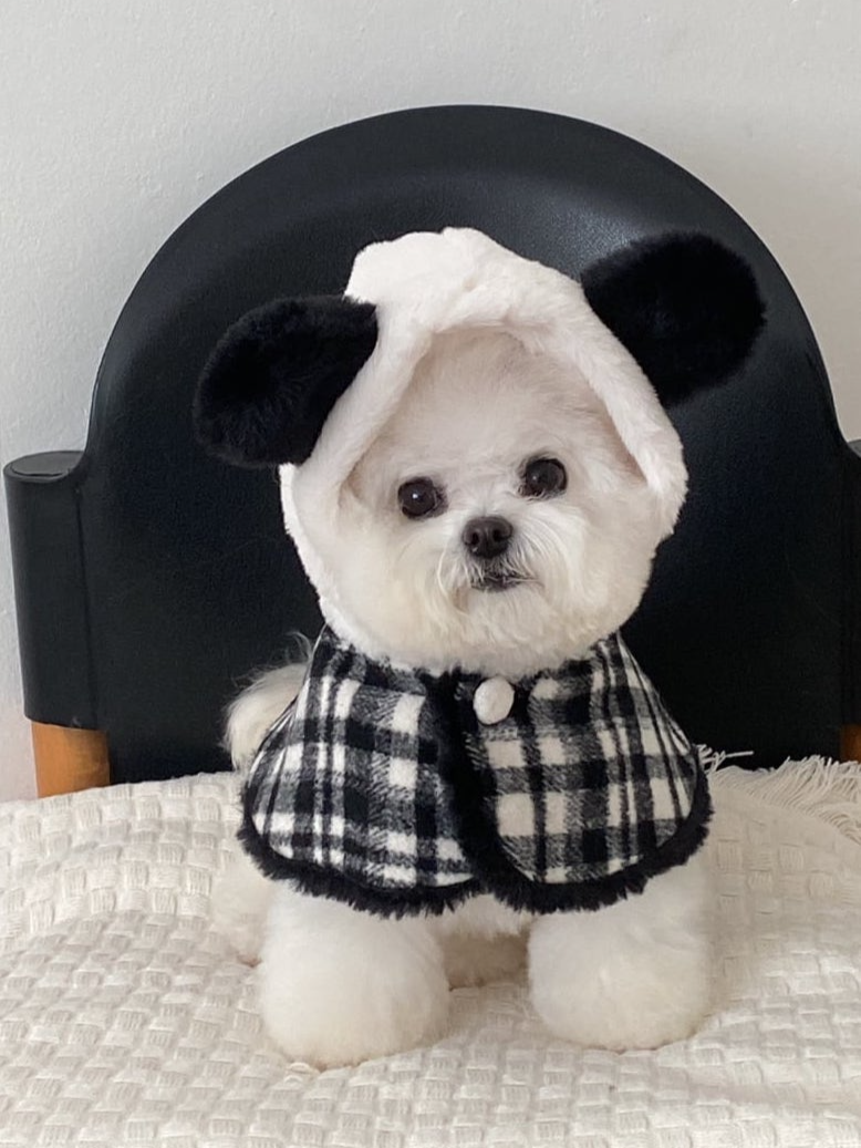 パンダケープ | Panda Cape