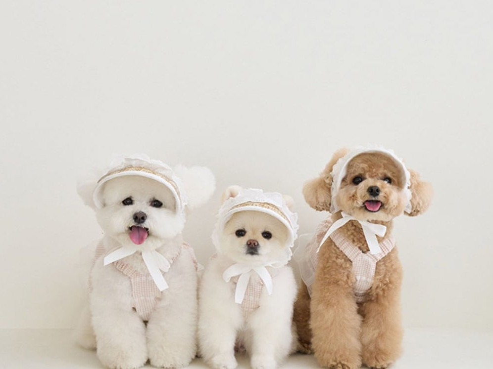 ラブリーゴールデンサマーキャップ | Lovely Cap