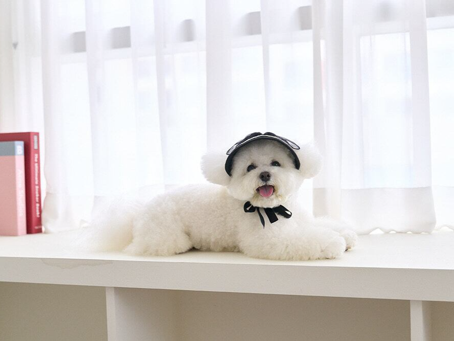 ブラックリボンサンキャップ | Black Ribbon Sun Cap