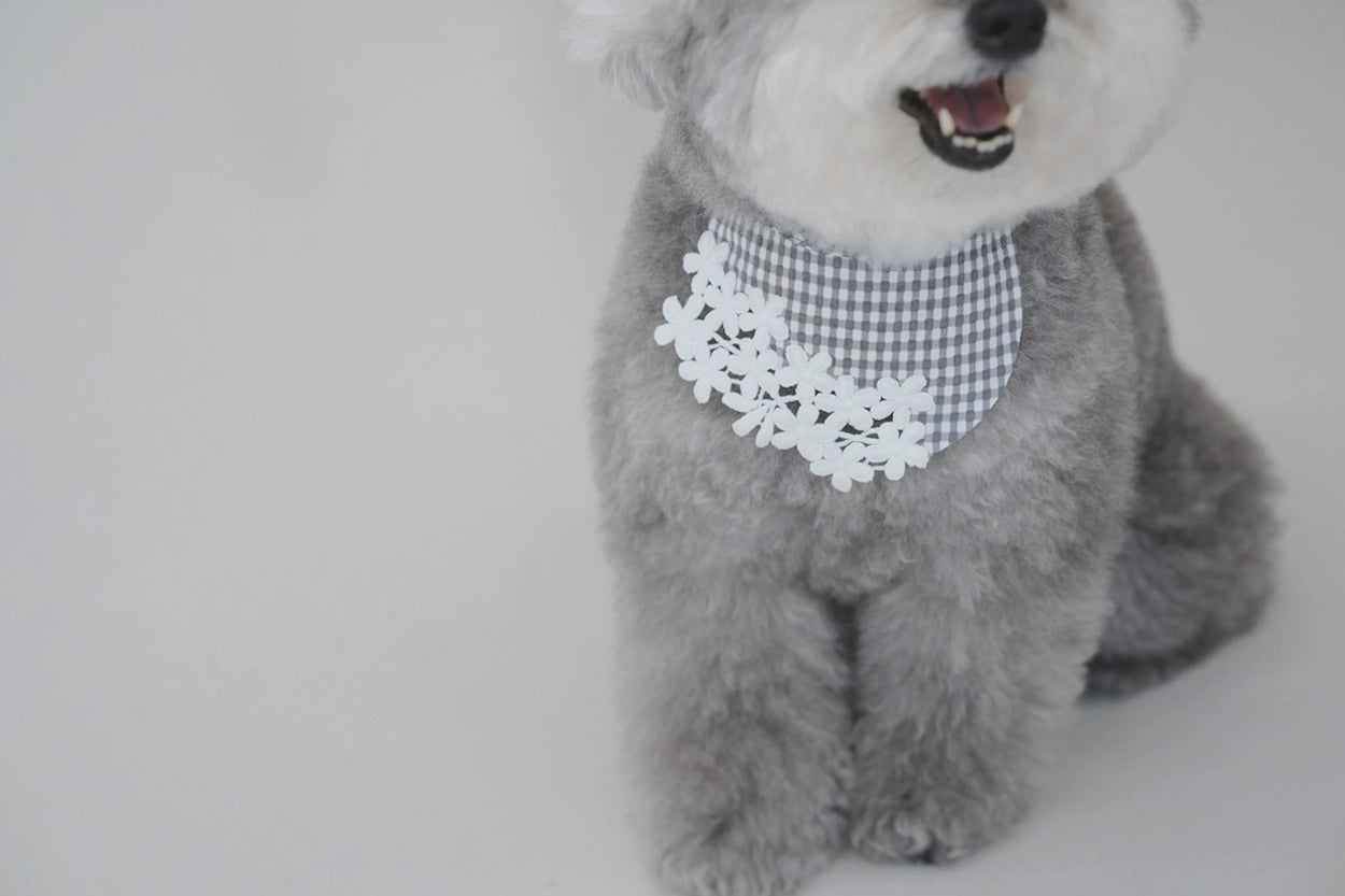 デイジービブ | Daisy Bib
