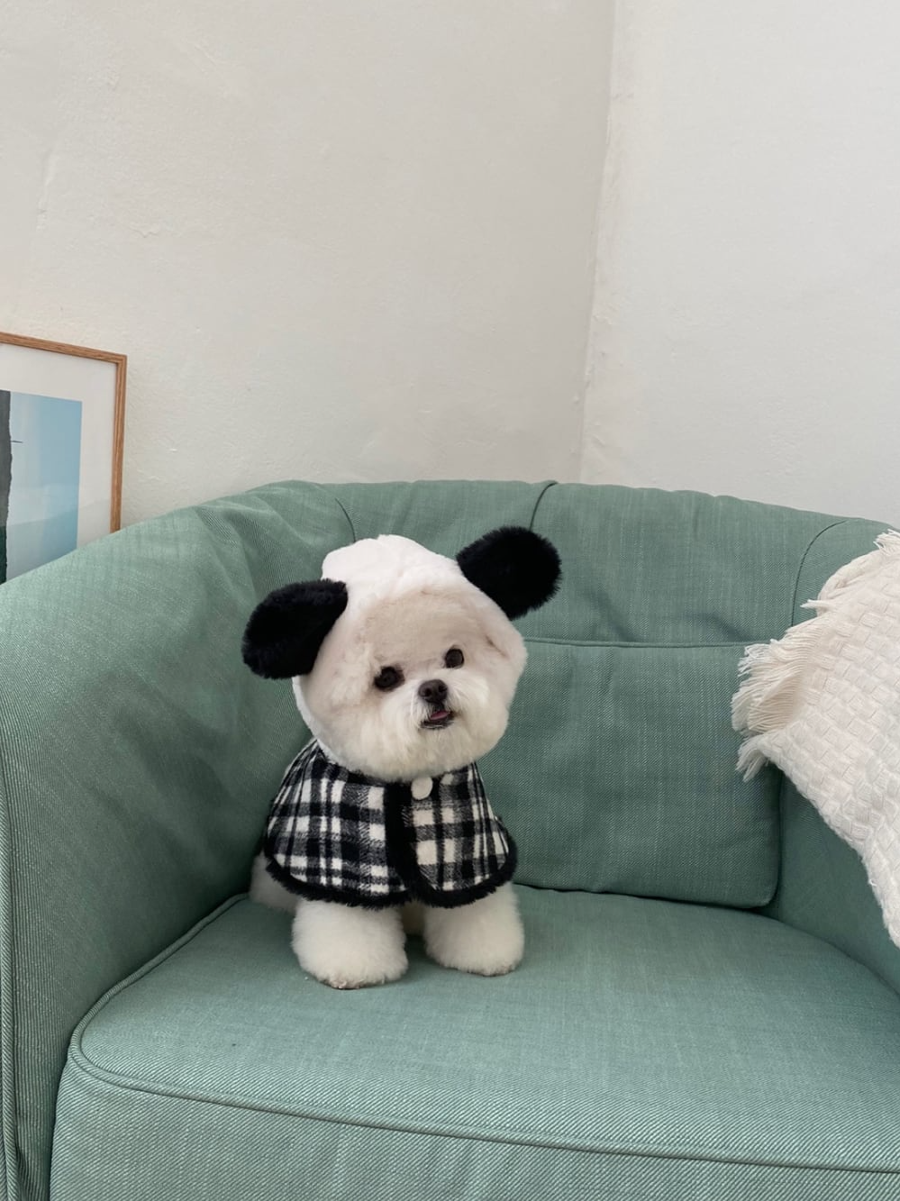パンダケープ | Panda Cape