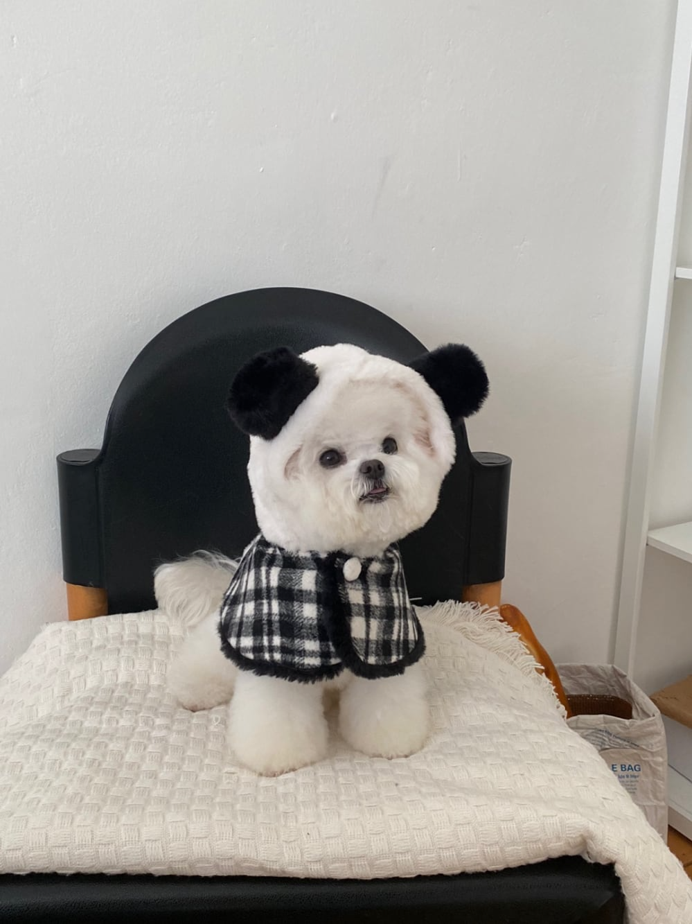 パンダケープ | Panda Cape