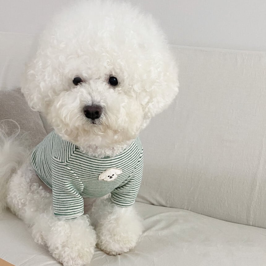 プードルニット | Poodle Knit