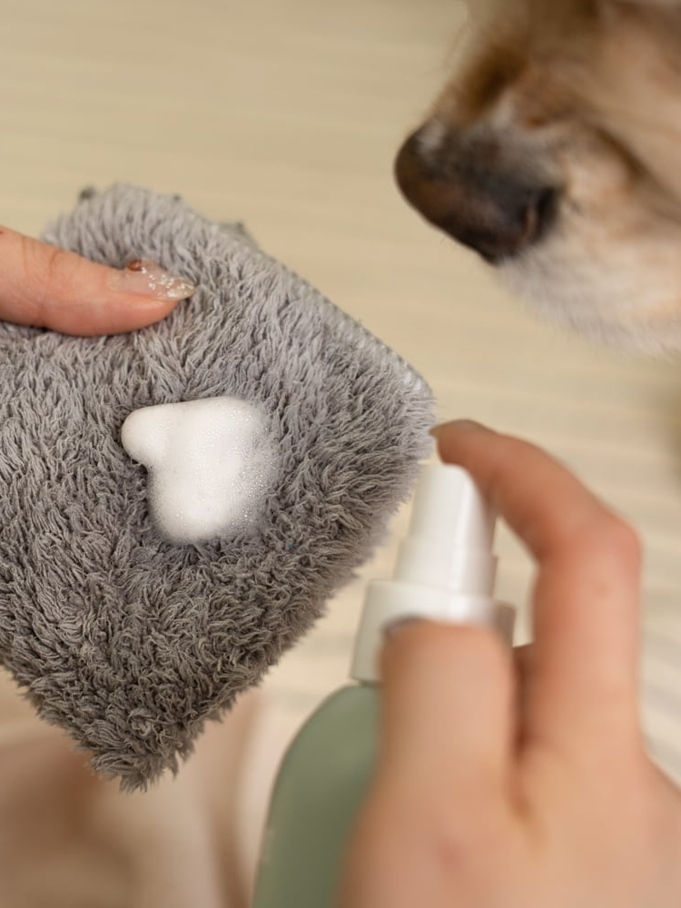 お試しサイズ ヴィーガンウォーターレス マルチクレンザー 30ml | Vegan Waterless Multi Cleanser