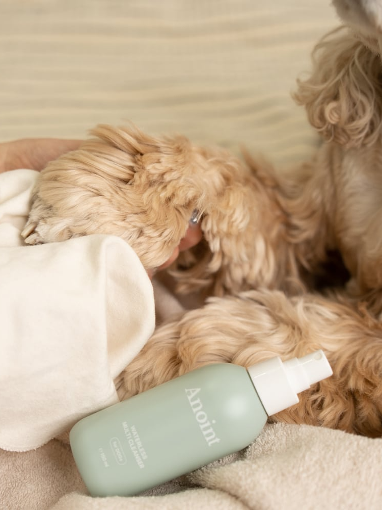 お試しサイズ ヴィーガンウォーターレス マルチクレンザー 30ml | Vegan Waterless Multi Cleanser