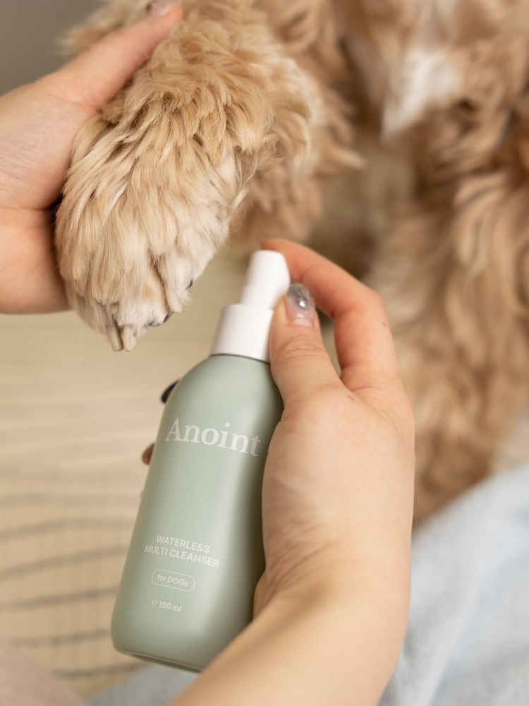 お試しサイズ ヴィーガンウォーターレス マルチクレンザー 30ml | Vegan Waterless Multi Cleanser