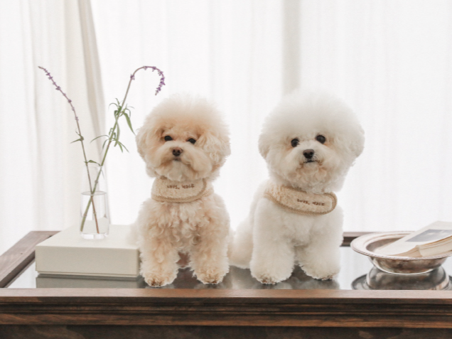 モコモコ ハーネス & リード | Love Walk Fluffy Harness & Leash