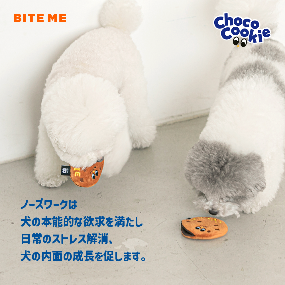 チョコクッキートイ (2個入り) ノーズワーク