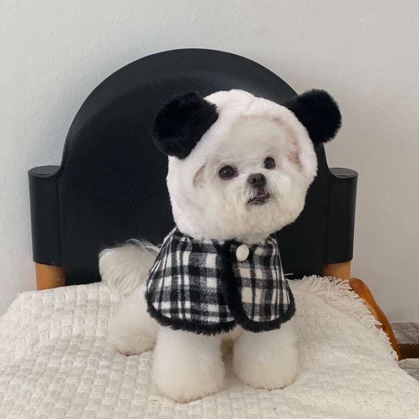 パンダケープ | Panda Cape