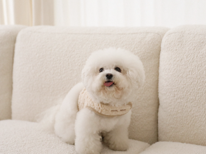 モコモコ ハーネス & リード | Love Walk Fluffy Harness & Leash