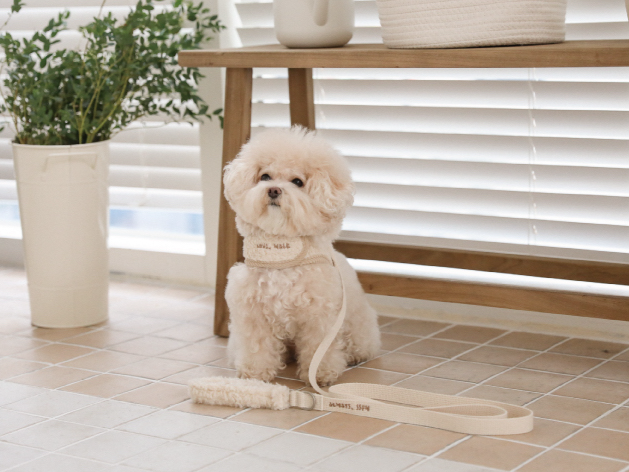 モコモコ ハーネス & リード | Love Walk Fluffy Harness & Leash