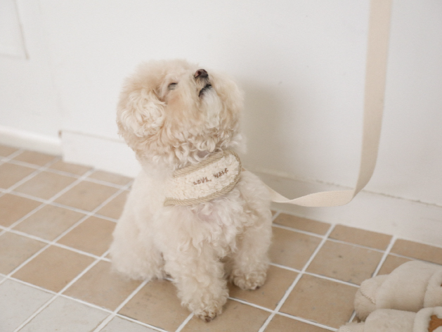 モコモコ ハーネス & リード | Love Walk Fluffy Harness & Leash