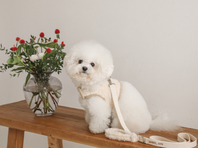 モコモコ ハーネス & リード | Love Walk Fluffy Harness & Leash