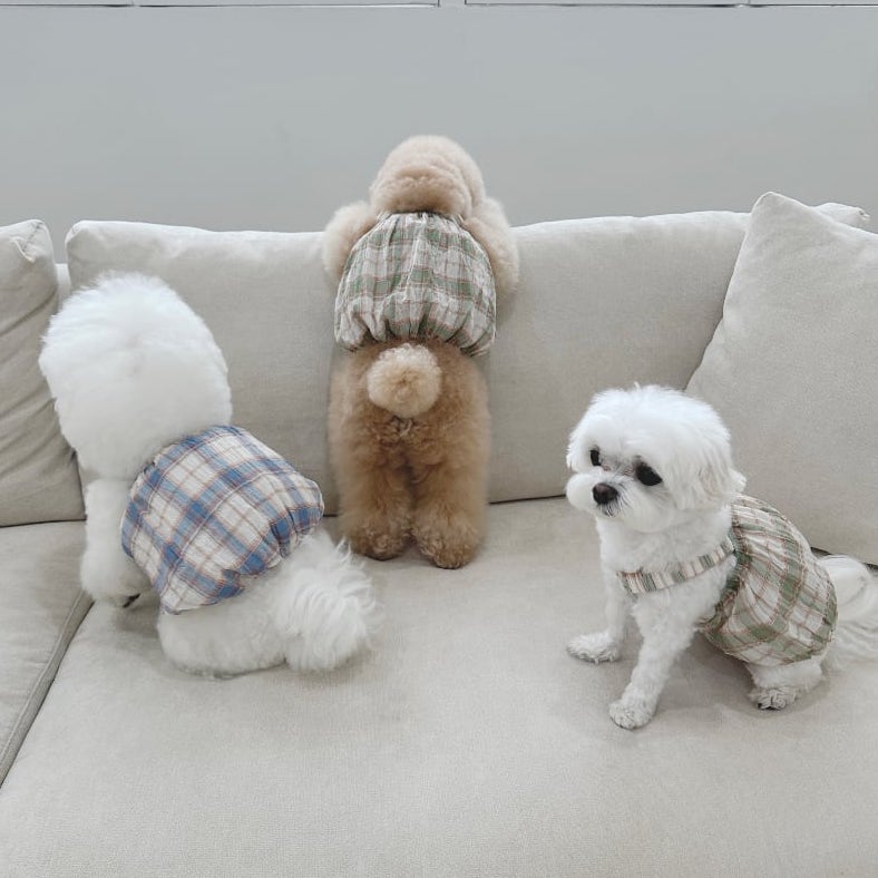 ヴインテージチェックバルーン | Vintage Check Balloon