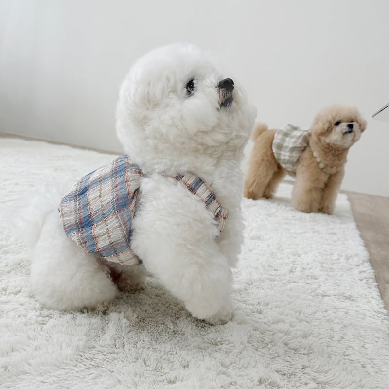 ヴインテージチェックバルーン | Vintage Check Balloon