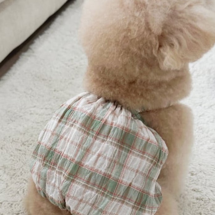 ヴインテージチェックバルーン | Vintage Check Balloon