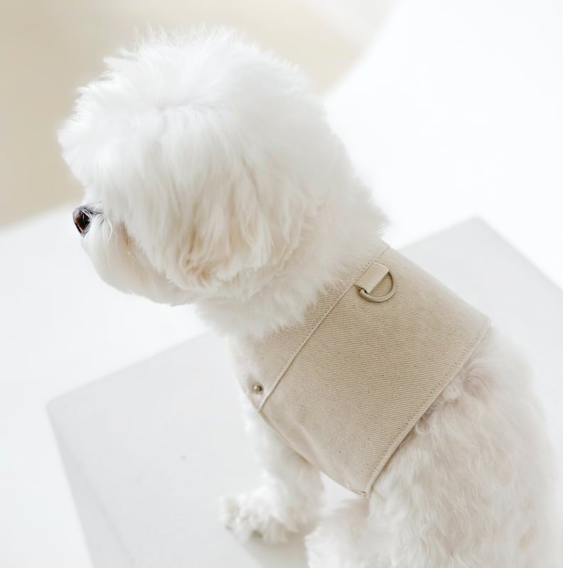 ピグメントハーネス & リード (アイボリー) | Pigment Harness & Leash