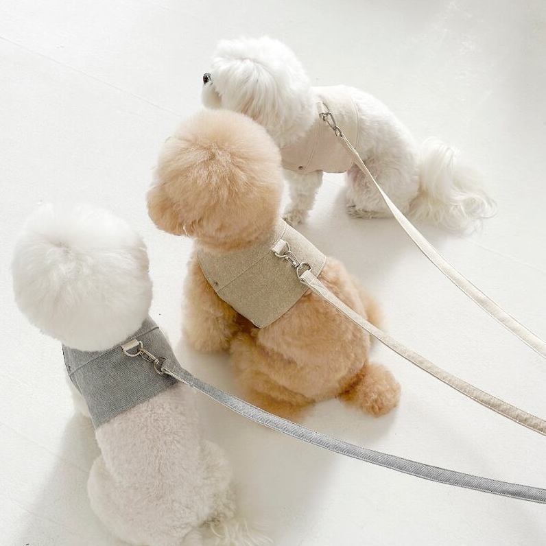 ピグメントハーネス & リード (アイボリー) | Pigment Harness & Leash