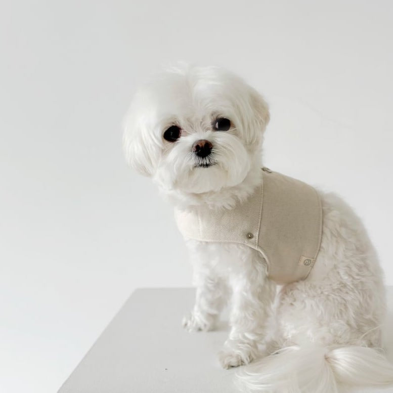 ピグメントハーネス & リード (アイボリー) | Pigment Harness & Leash