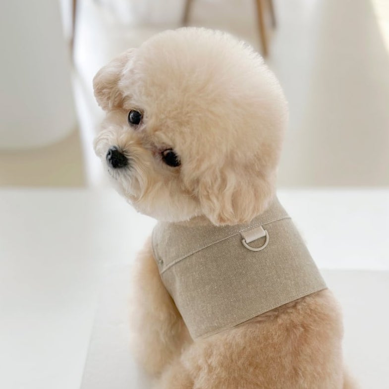 ピグメントハーネス & リード (ベージュ) | Pigment Harness & Leash