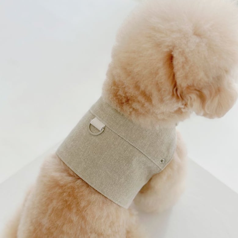 ピグメントハーネス & リード (ベージュ) | Pigment Harness & Leash