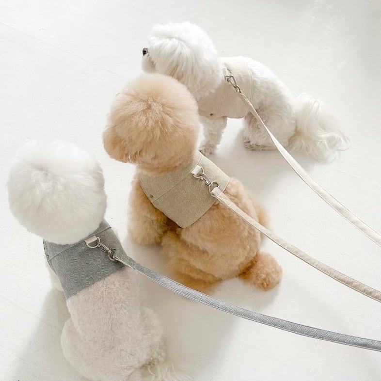 ピグメントハーネス & リード (ベージュ) | Pigment Harness & Leash