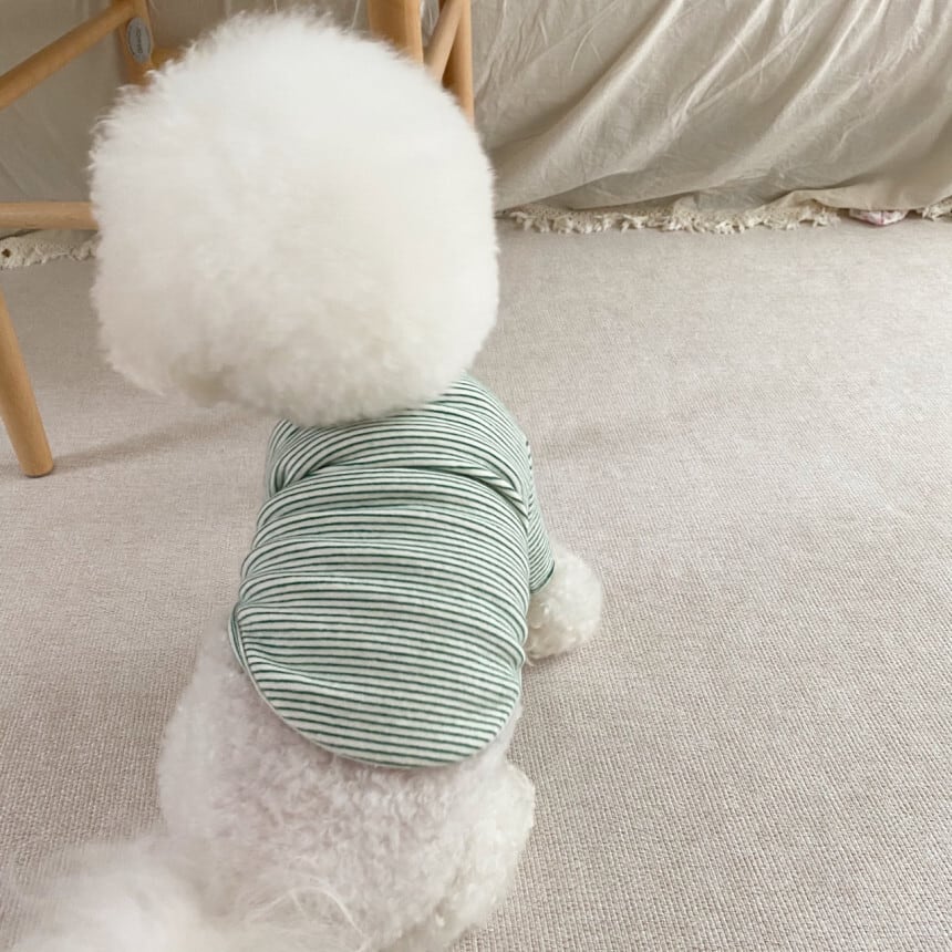 プードルニット | Poodle Knit