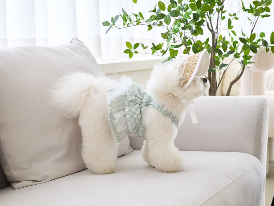 ラブリーゴールデンサマーキャップ | Lovely Cap