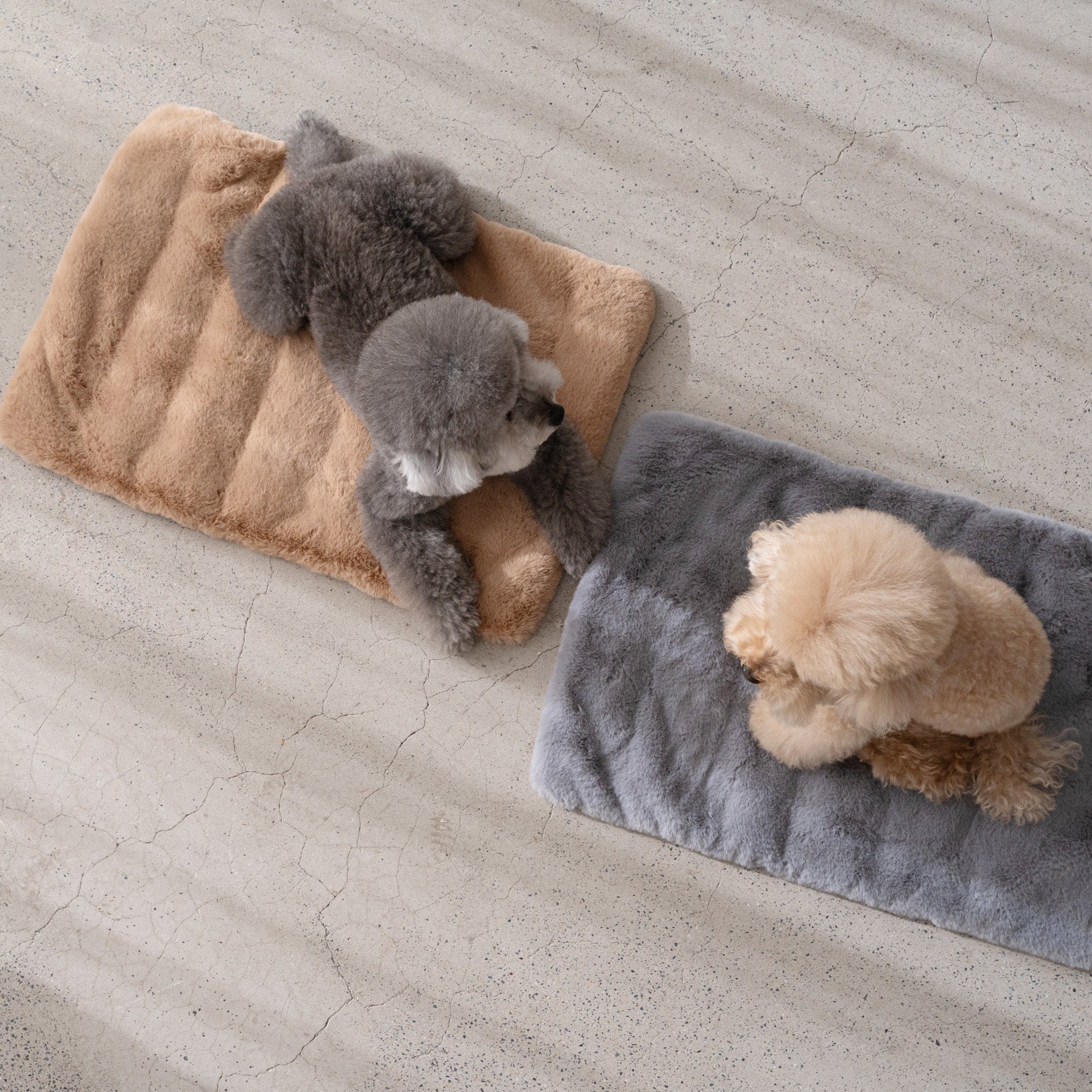 スナグルブランケット | Snuggle blanket