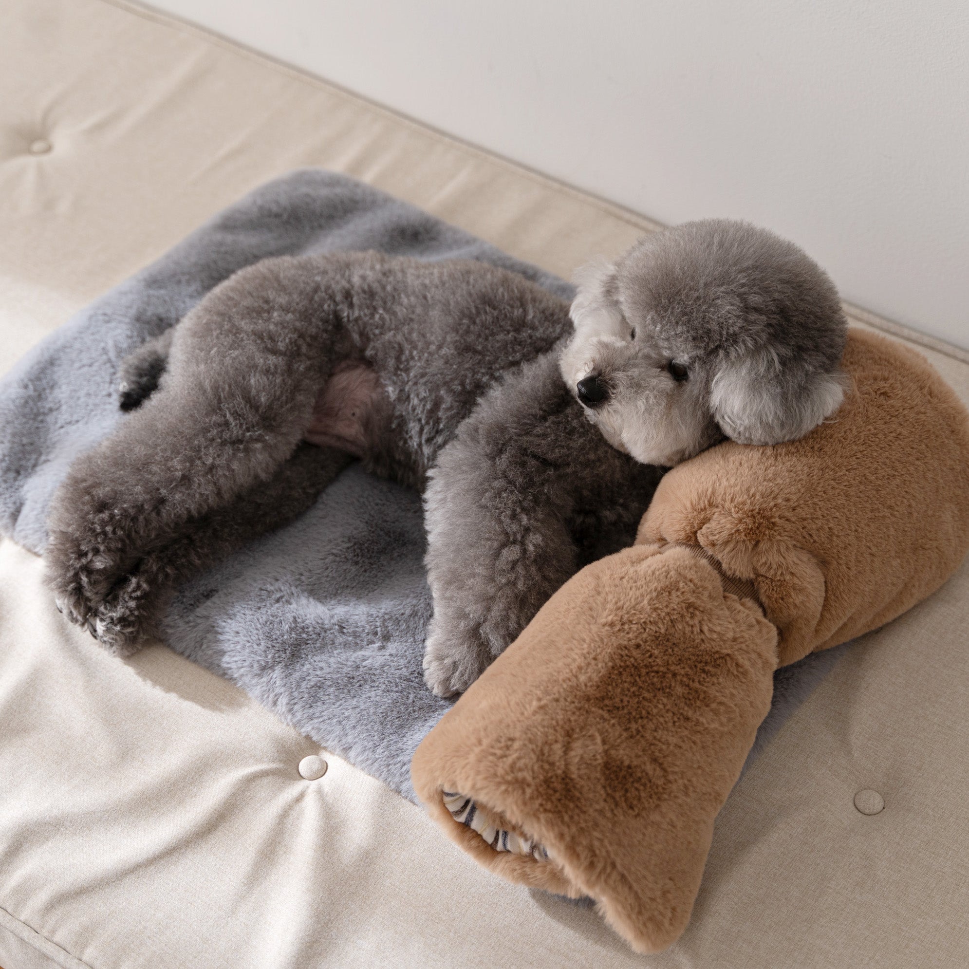 スナグルブランケット | Snuggle blanket