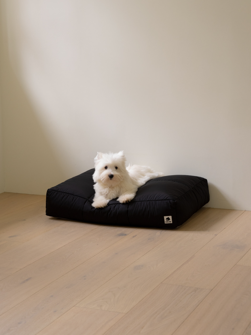 インフォーマル ベッド 3X2 ブラック / Informal Bed 3X2 Black