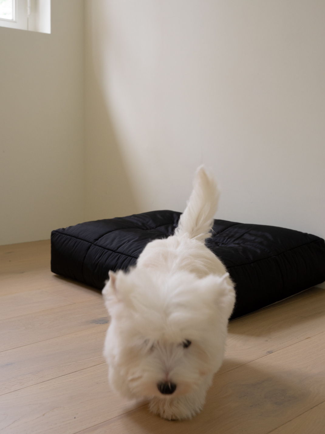 インフォーマル ベッド 3X2 ブラック / Informal Bed 3X2 Black