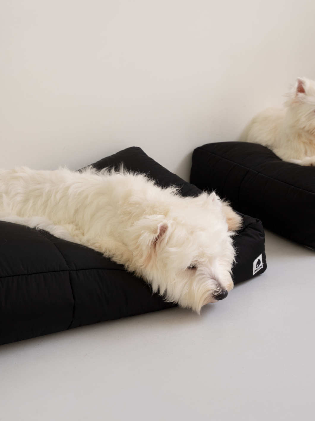 インフォーマル ベッド 3X2 ブラック / Informal Bed 3X2 Black