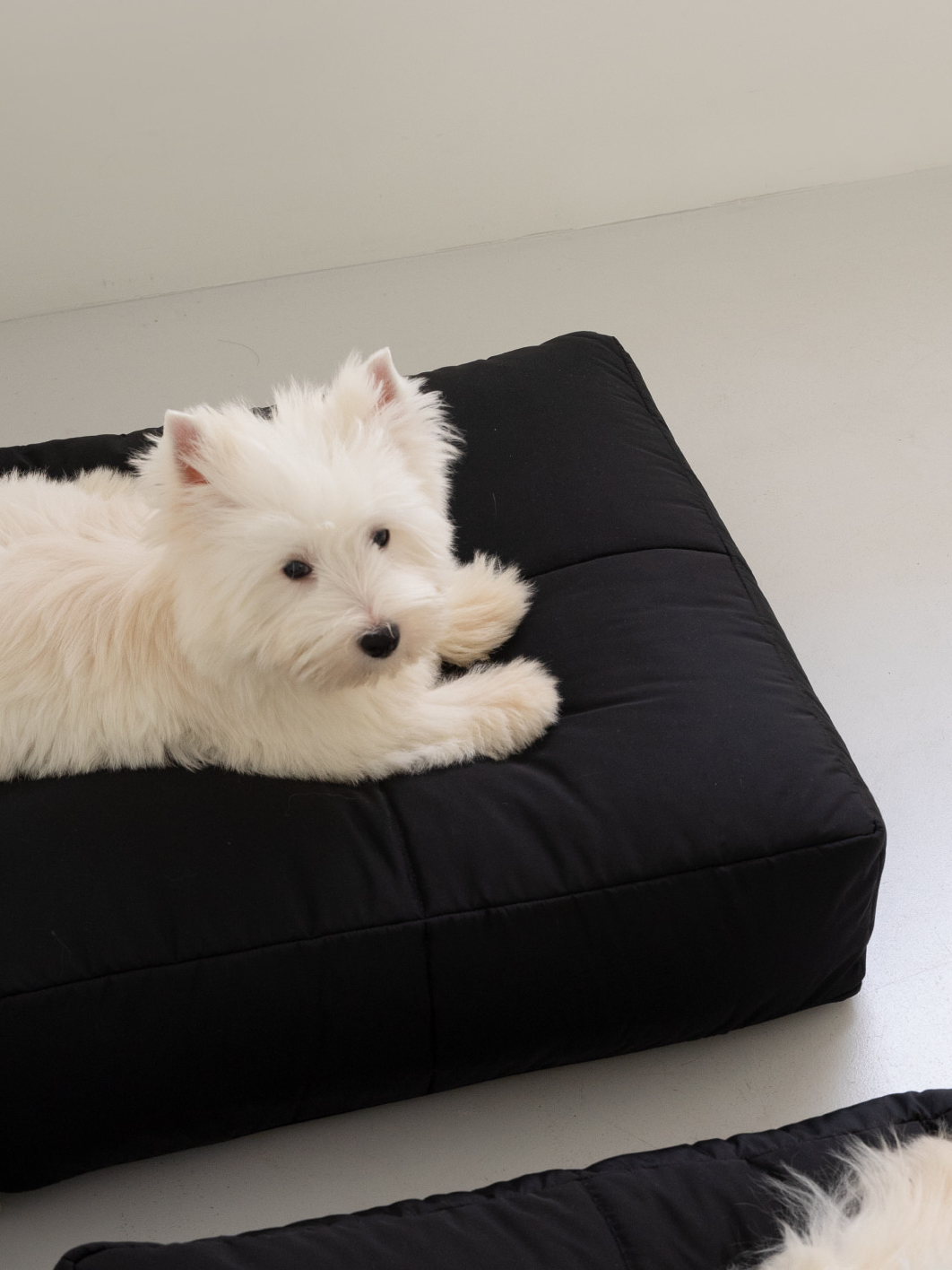 インフォーマル ベッド 3X2 ブラック / Informal Bed 3X2 Black