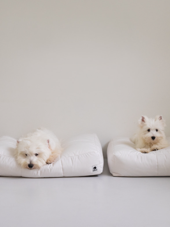インフォーマル ベッド 3X2 ホワイト / Informal Bed 3X2 White
