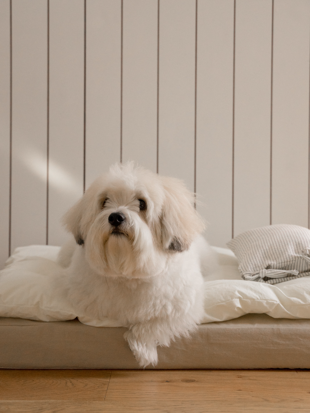 【予約】スクエア ベッドセット レモン | Square Bedding Set Lemon
