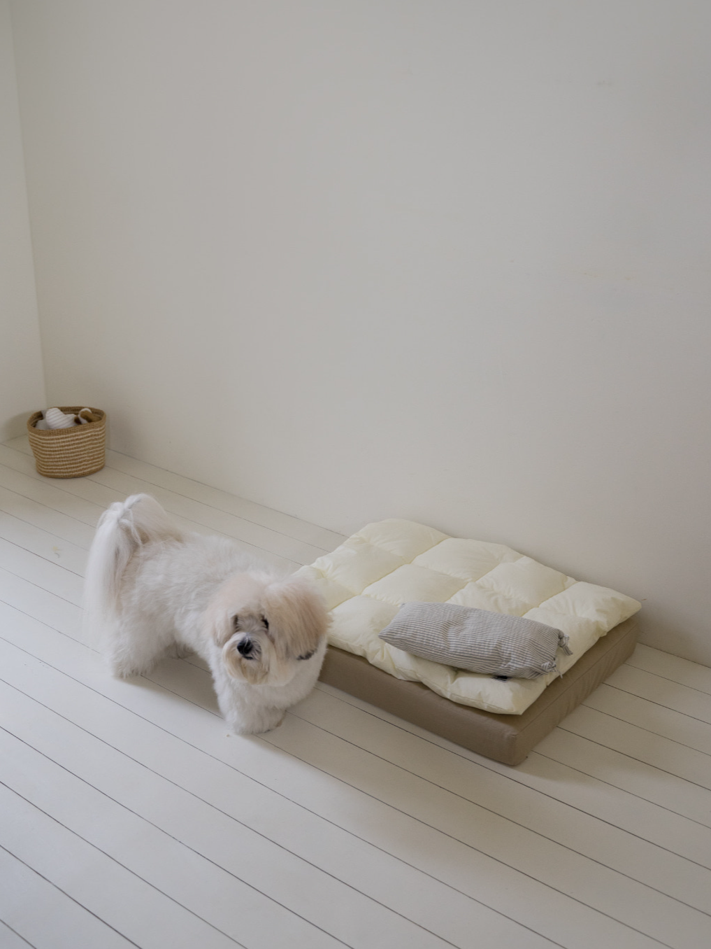 【予約】スクエア ベッドセット レモン | Square Bedding Set Lemon