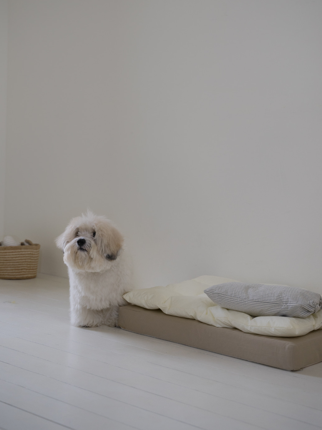 【予約】スクエア ベッドセット レモン | Square Bedding Set Lemon