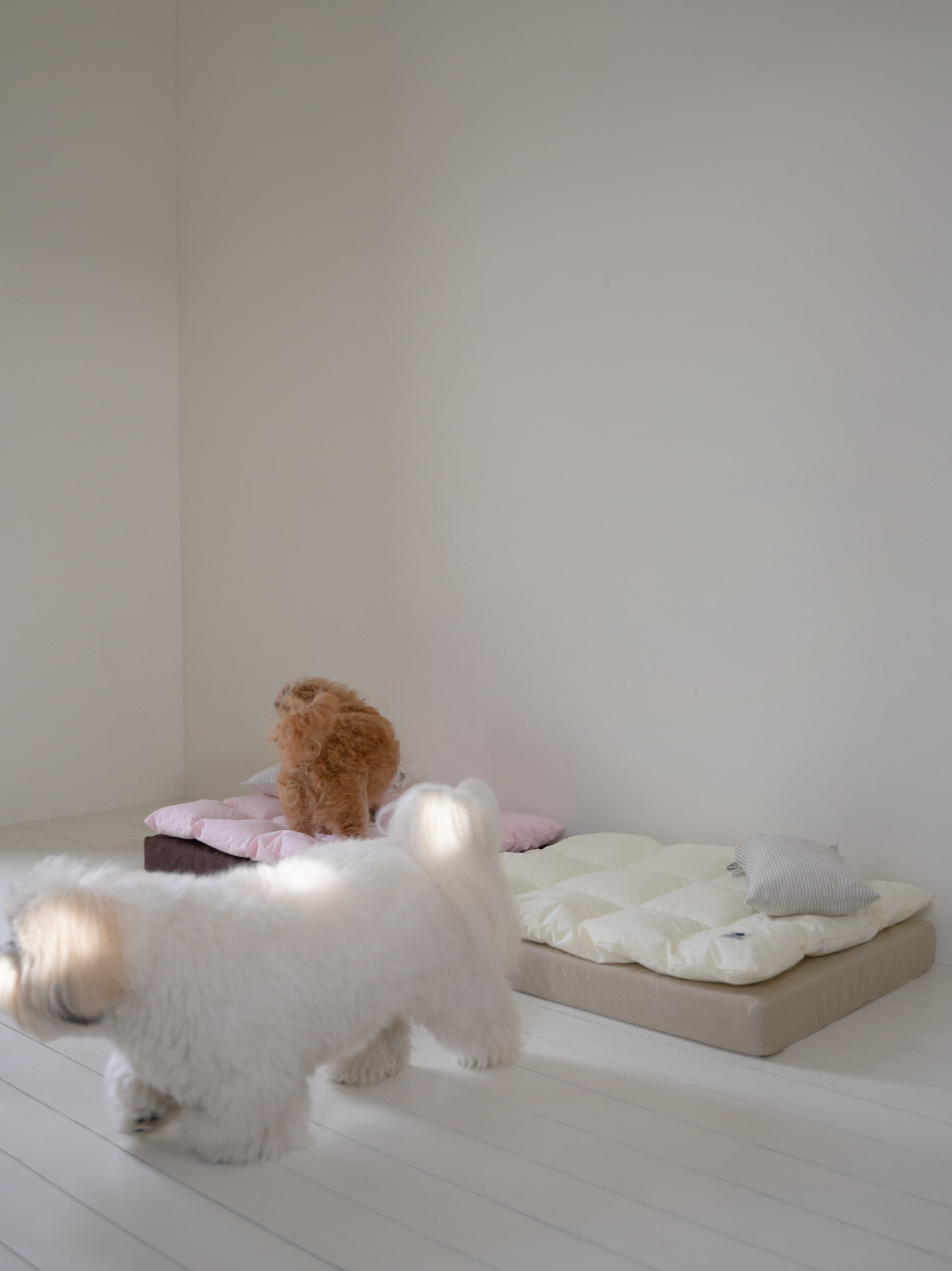 【予約】スクエア ベッドセット ラズベリー | Square Bedding Set Raspberry