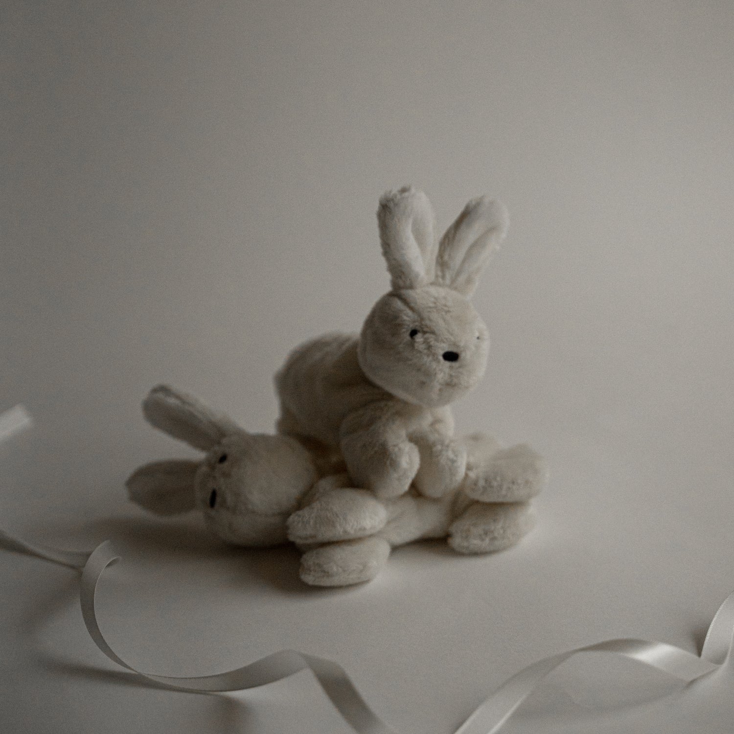 バディバニー | Buddy Bunny