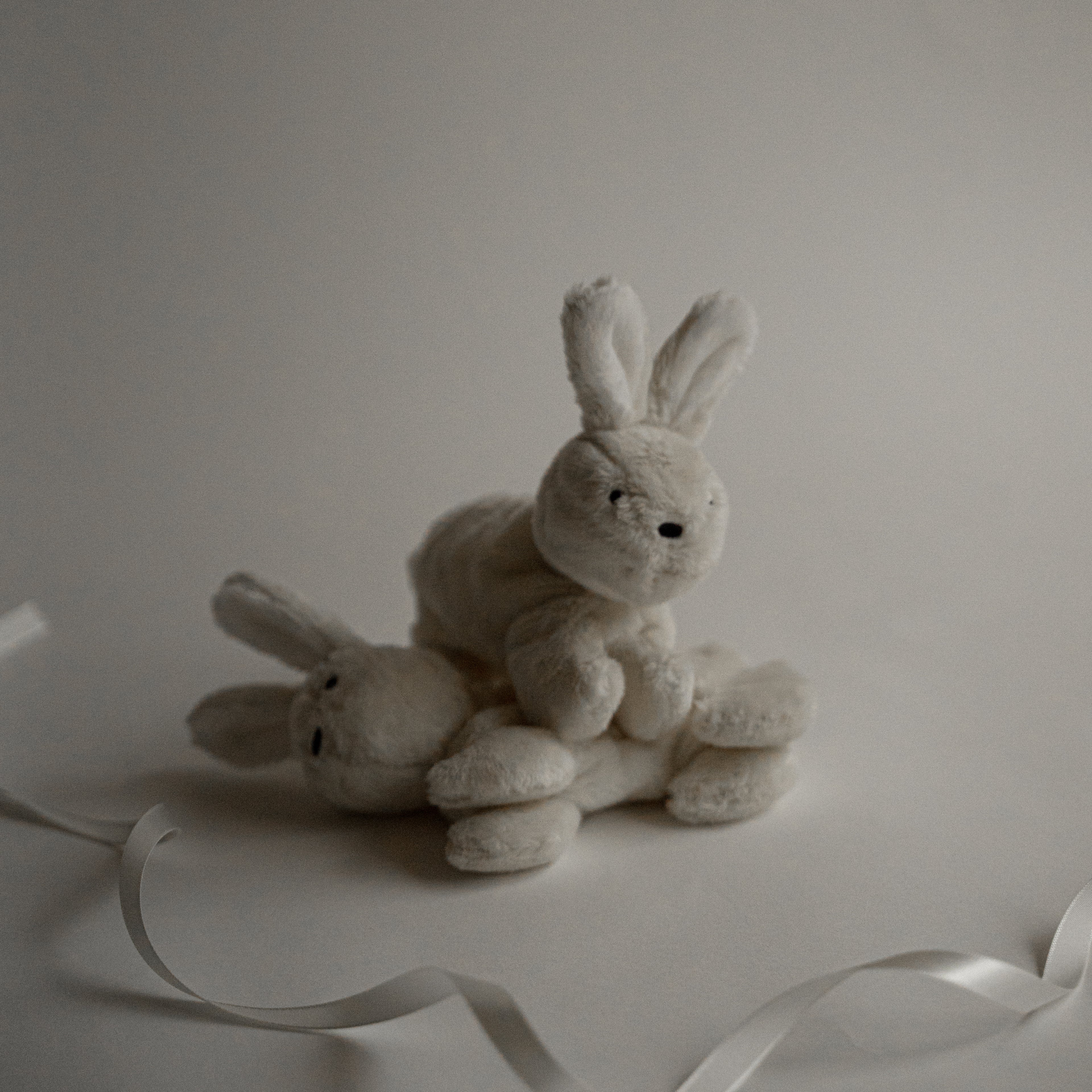 バディバニー | Buddy Bunny