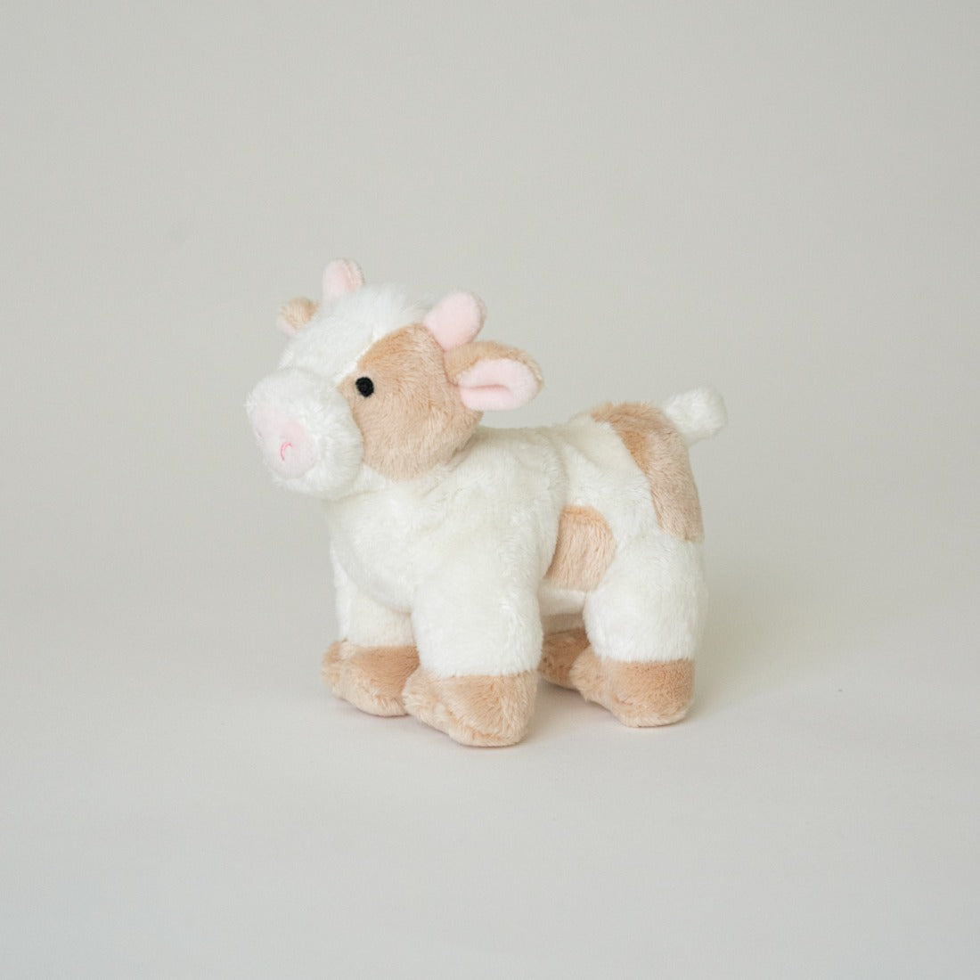 バディ カウ | Buddy Cow