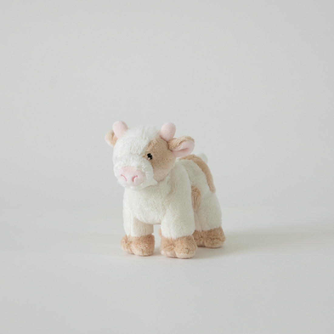 バディ カウ | Buddy Cow