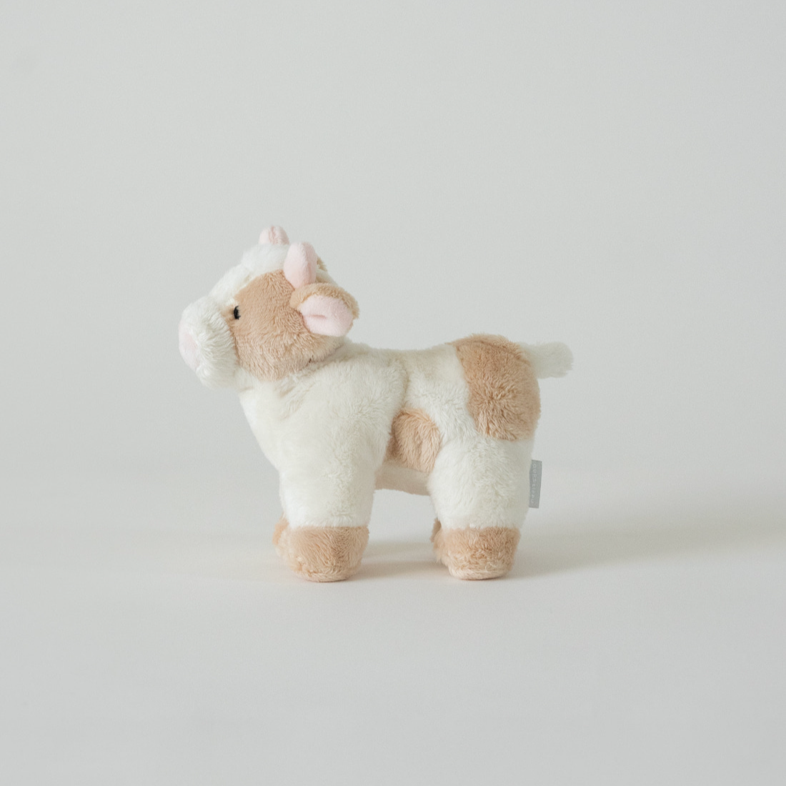 バディ カウ | Buddy Cow