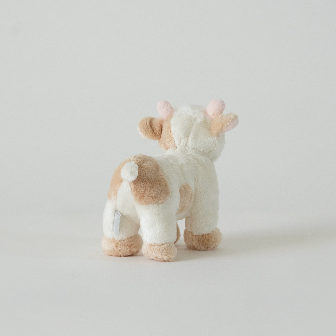 バディ カウ | Buddy Cow