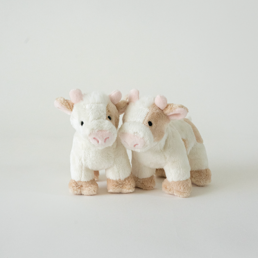 バディ カウ | Buddy Cow