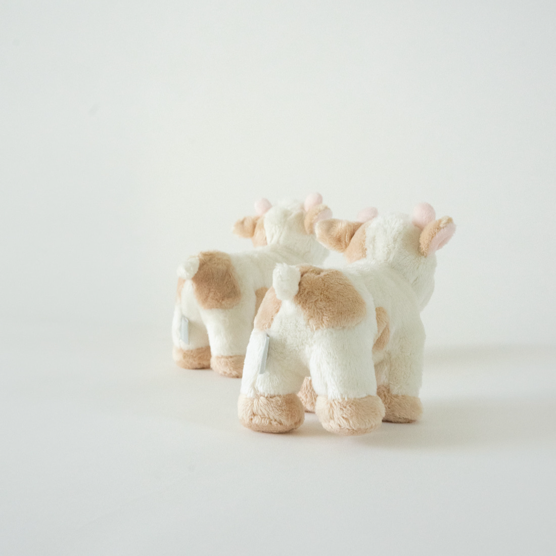 バディ カウ | Buddy Cow